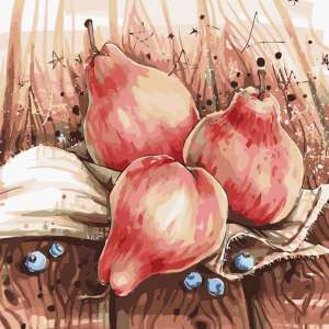 Still Life with Pears – 40 x 50 cm High Quality Paint by Numbers Kit Cotton Canvas stretched on Wooden Frame by Tsvetnoy
